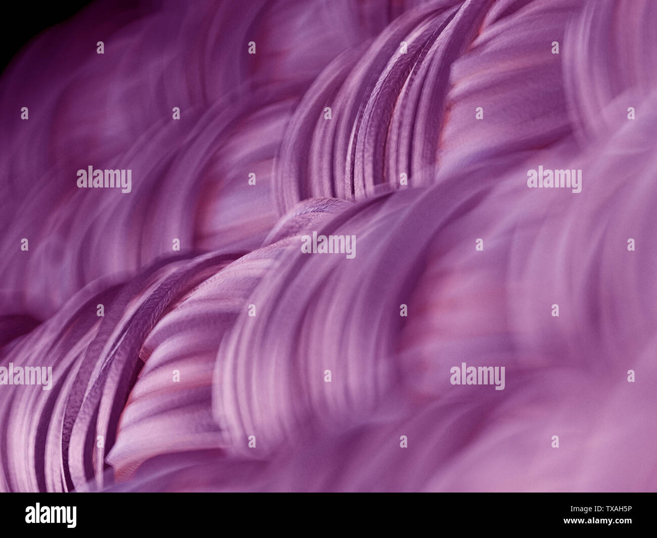 Rendu 3d illustration d'une vue microscopique de tissu Banque D'Images