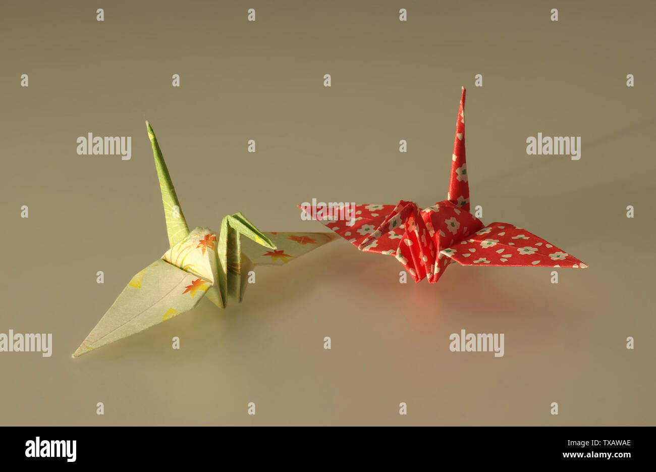 Ceiad Banque D Image Et Photos Alamy