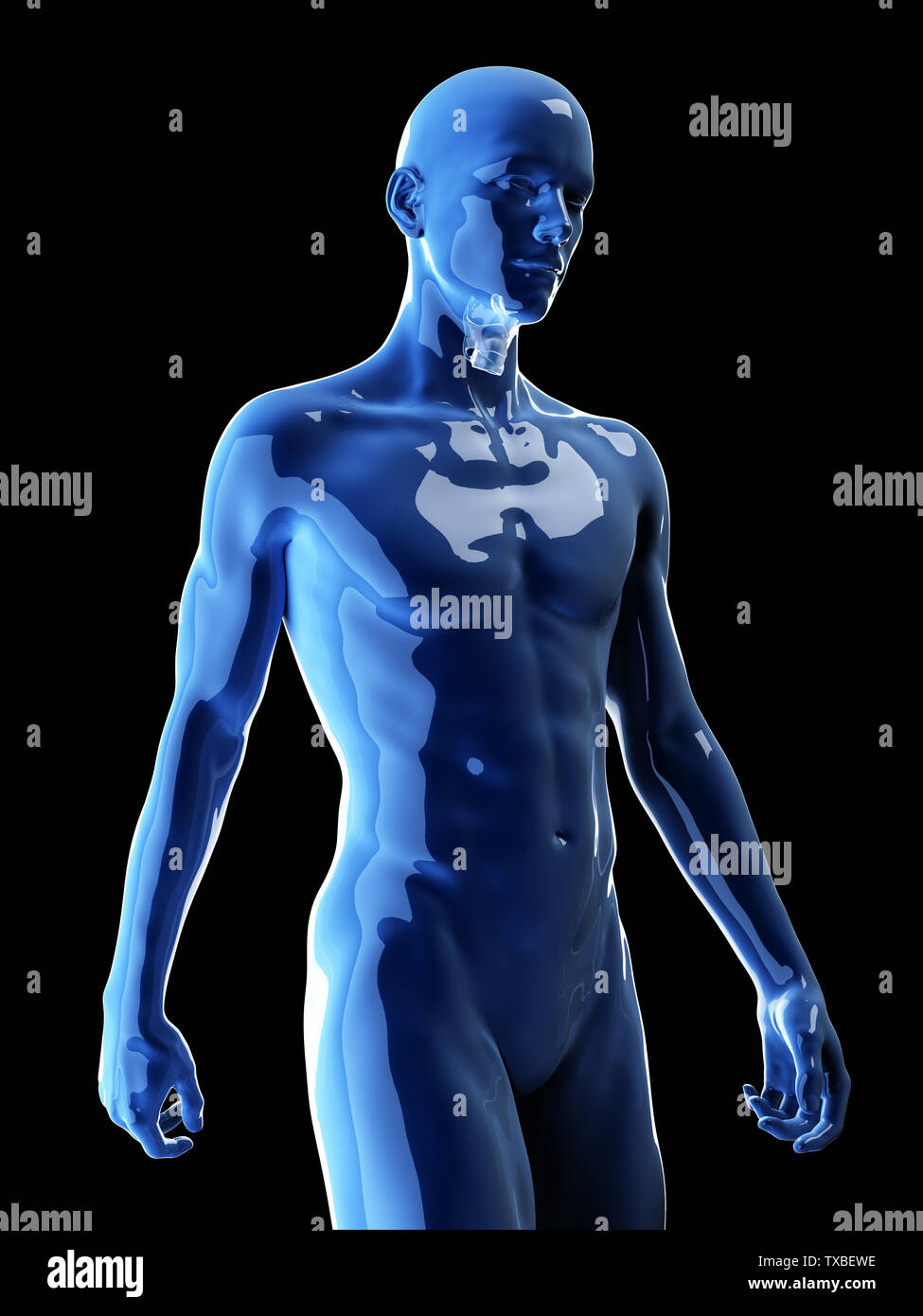 Médicalement en rendu 3d illustration de l'exacte du larynx humain Banque D'Images