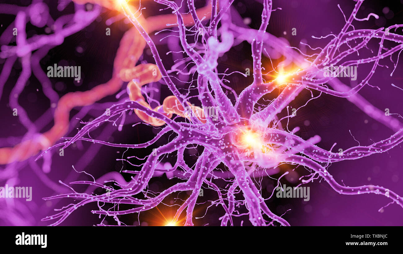 Médicalement en rendu 3d illustration d'un précis des cellules nerveuses Banque D'Images