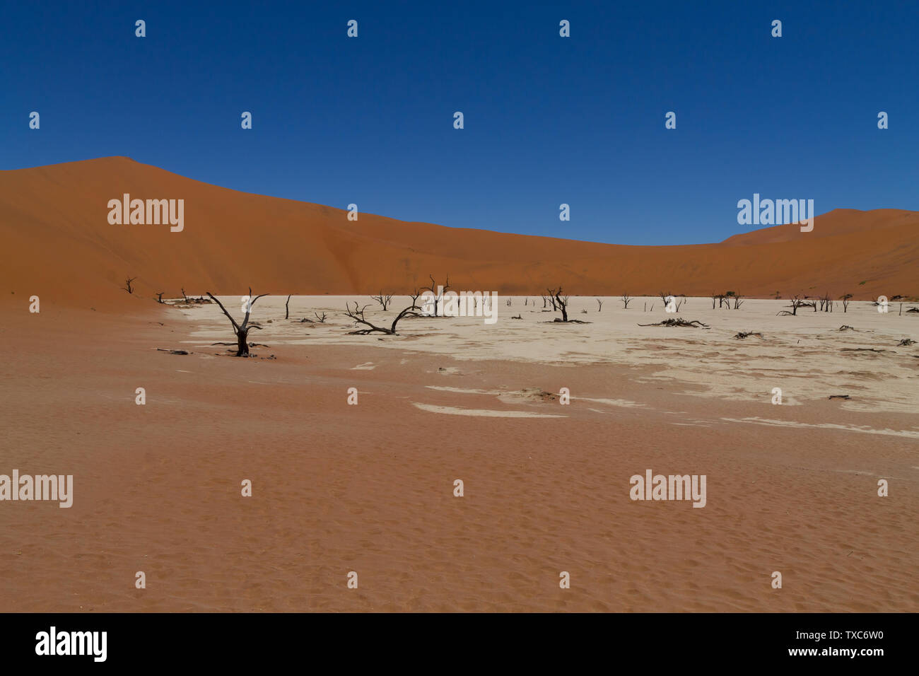 Une vue de Dead Vlei Sossusvlei, Namibie Banque D'Images