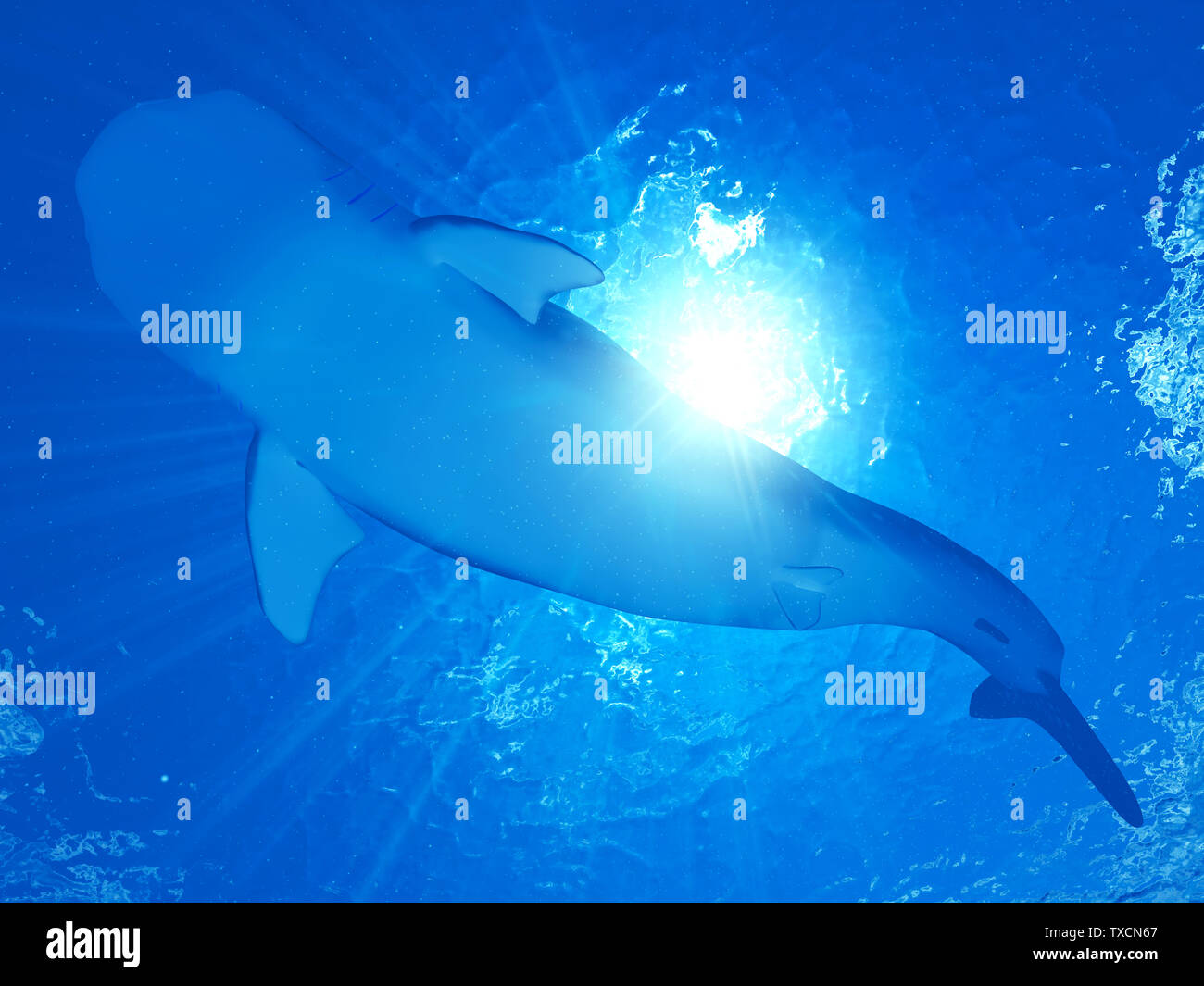 Rendu 3d illustration d'un requin-baleine Banque D'Images