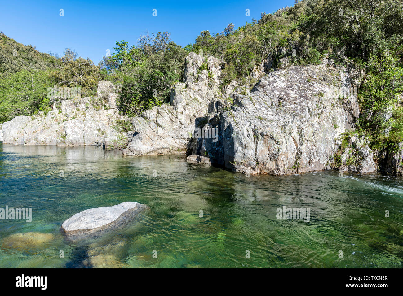 L'eau pure et fraîche de la piscine naturelle de la rivière Travo, Corse, France, Europe (Rivière Solenzara) Banque D'Images