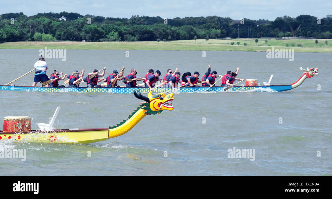 Arlington, Texas - Juin 15,2019 - Dragon Boat Race au lac vert émeraude. Montrant deux des courses de bateaux-dragons à pleine vitesse. Banque D'Images