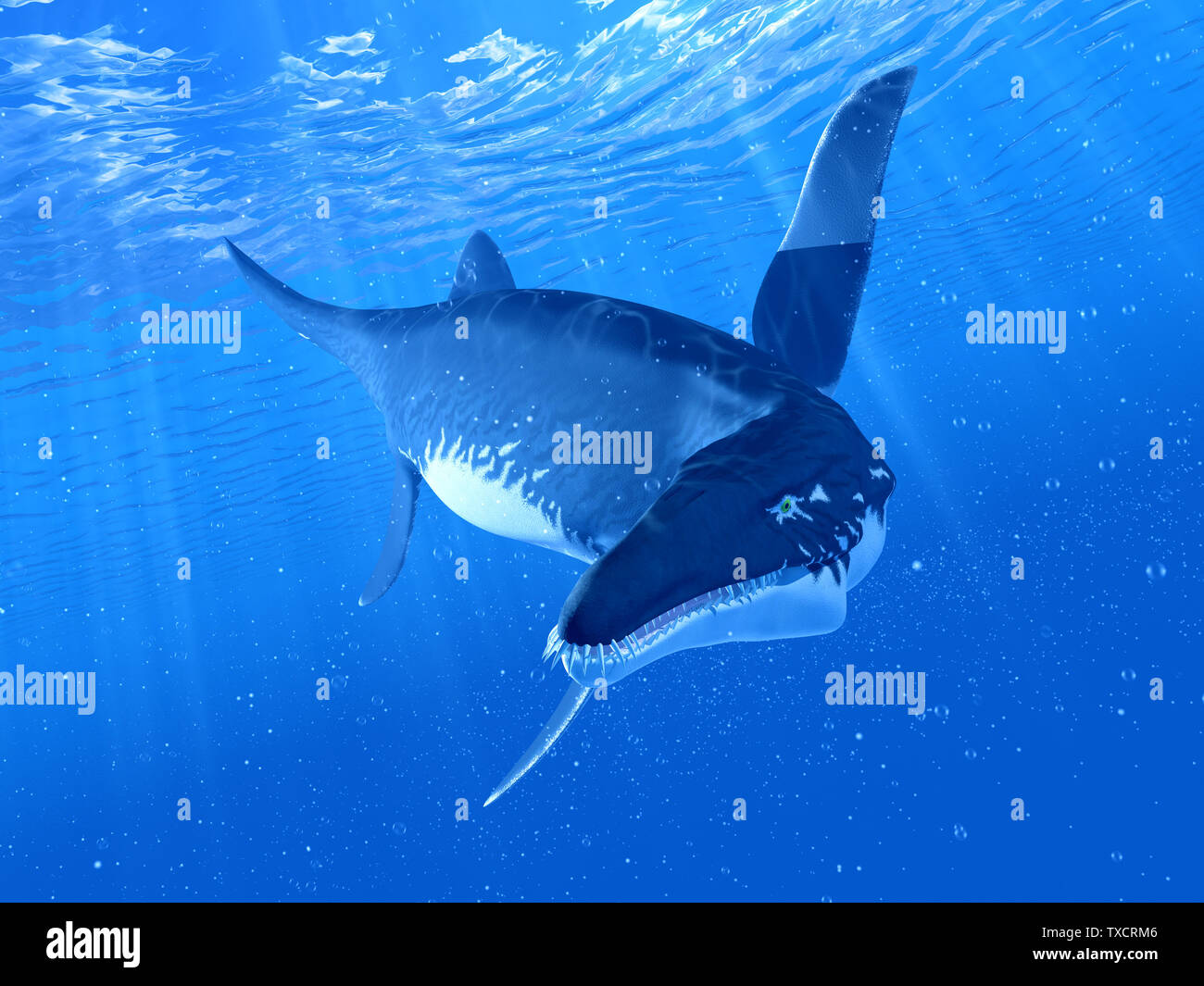 Rendu 3d illustration d'un Liopleurodon Banque D'Images