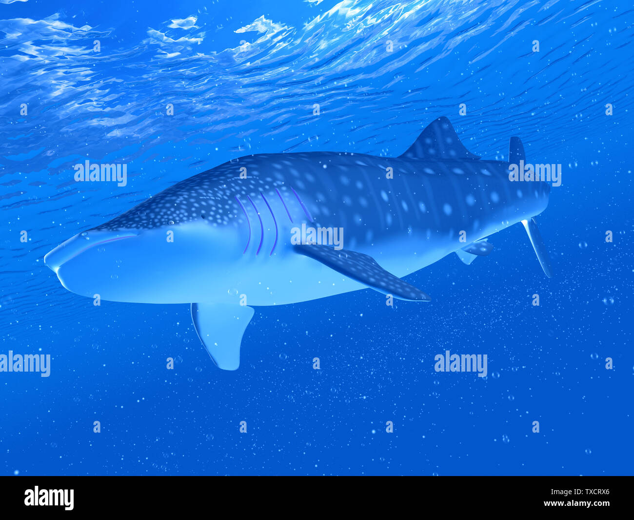 Rendu 3d illustration d'un requin-baleine Banque D'Images