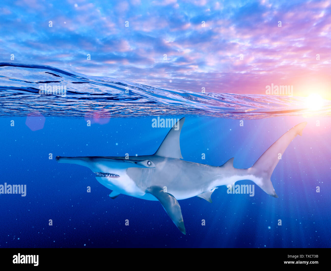 Rendu 3d illustration d'un requin marteau Banque D'Images