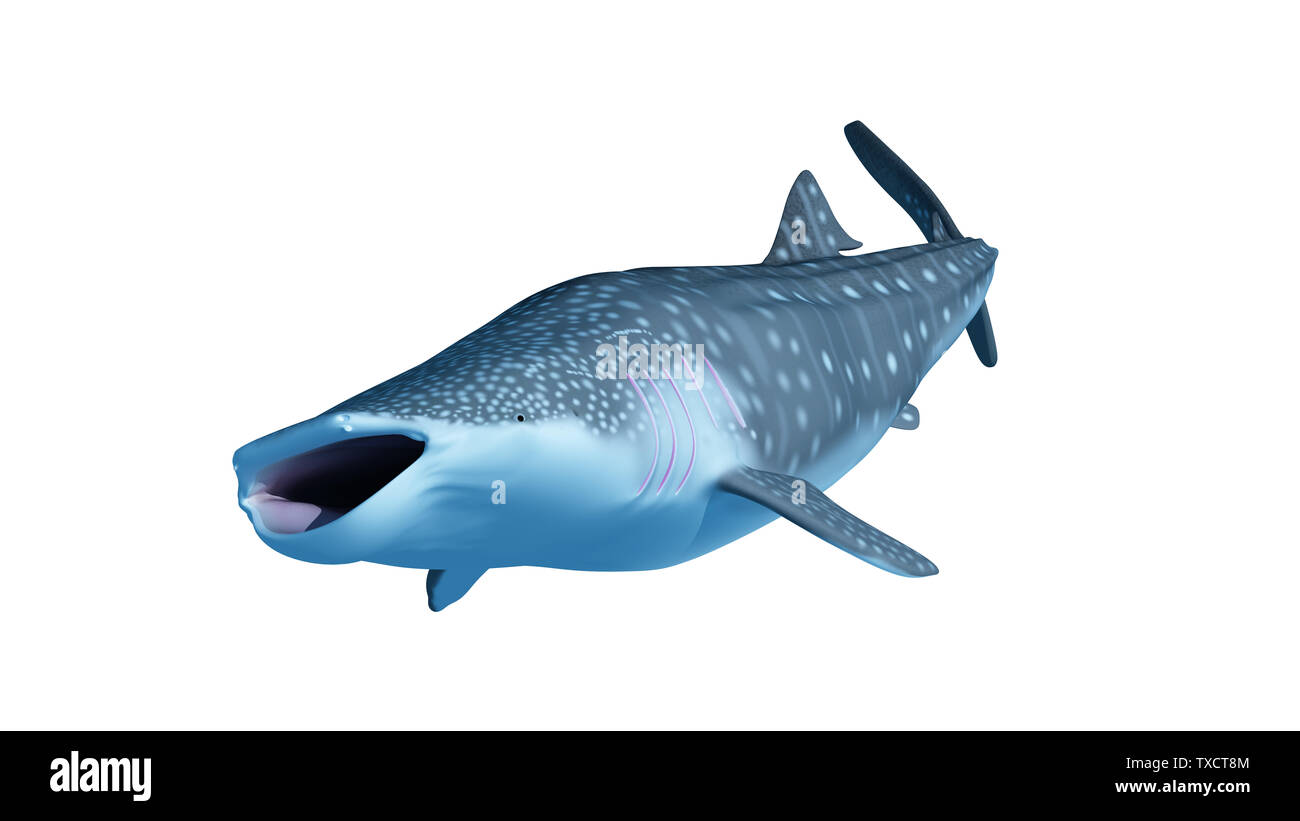 Rendu 3d illustration d'un requin-baleine Banque D'Images