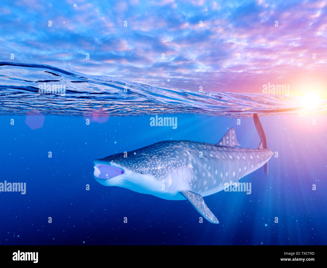 Rendu 3d illustration d'un requin-baleine Banque D'Images