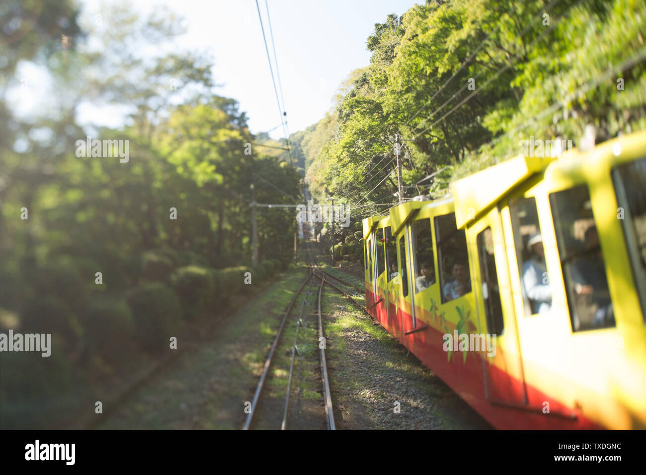 Le funiculaire du Mont Takao park en dehors de Tokyo voyage régulièrement le long de la montagne, dans la forêt et quelques tunnels. Banque D'Images