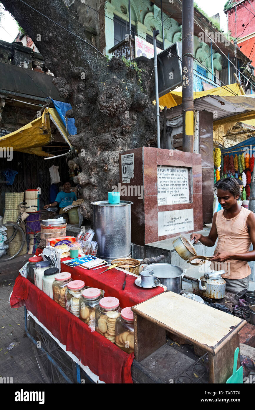 Vendeur de thé, Allahabad, Uttar Pradesh, Inde, Asie Banque D'Images