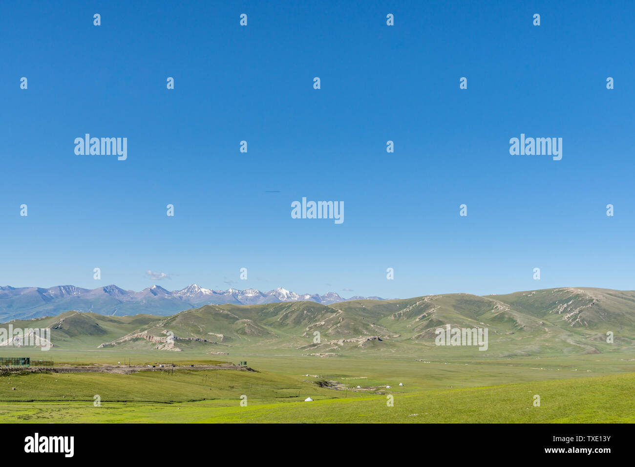 Les prairies alpines le long de la G217 Duku sous l'autoroute l'été, ciel bleu et nuages blancs dans le Xinjiang, Chine Banque D'Images