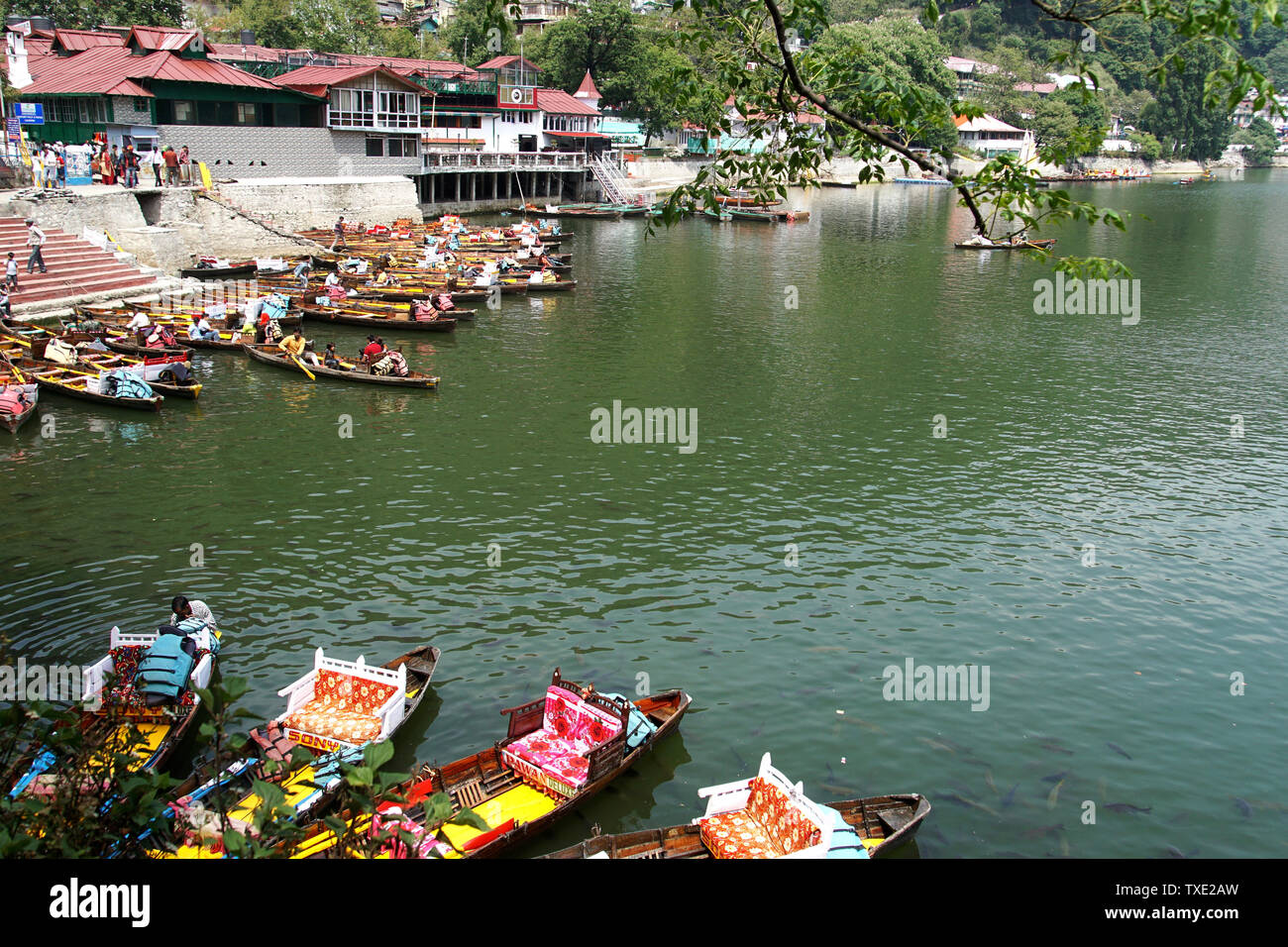 Colorée de bateaux de plaisance sur les rives du lac de Nainital Banque D'Images