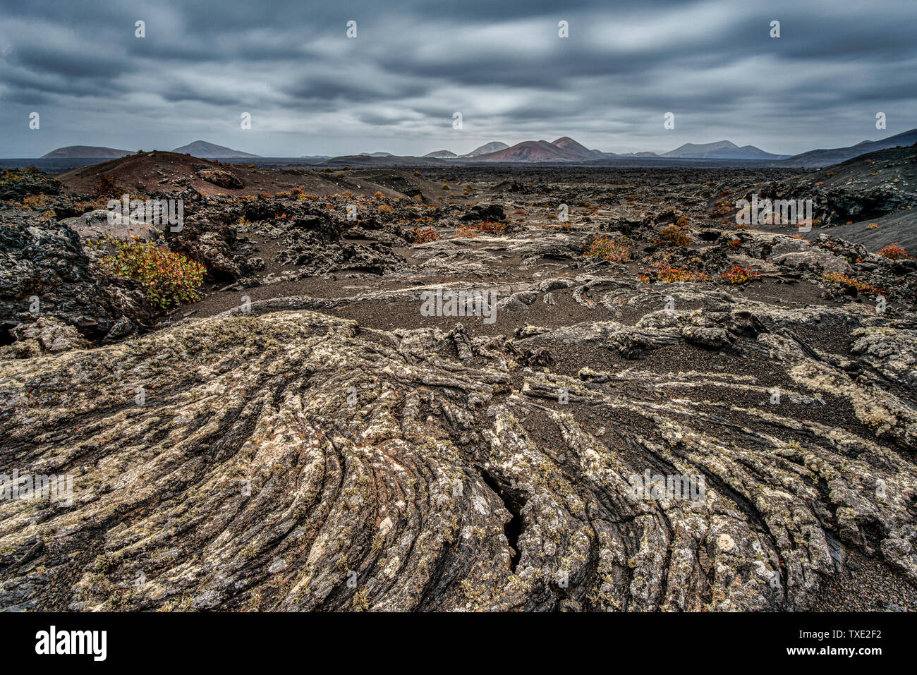 Espagne île des Canaries . Paysage Vocanic Lanzarote Banque D'Images