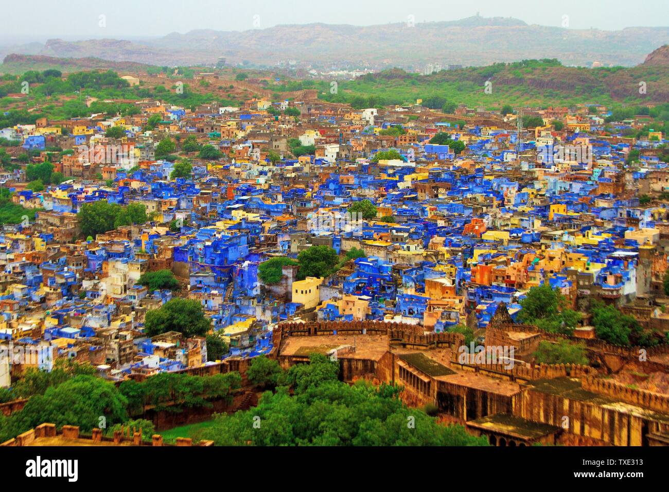 Vue aérienne de la ville bleue, Jodhpur, Rajasthan, Inde, Asie Banque D'Images