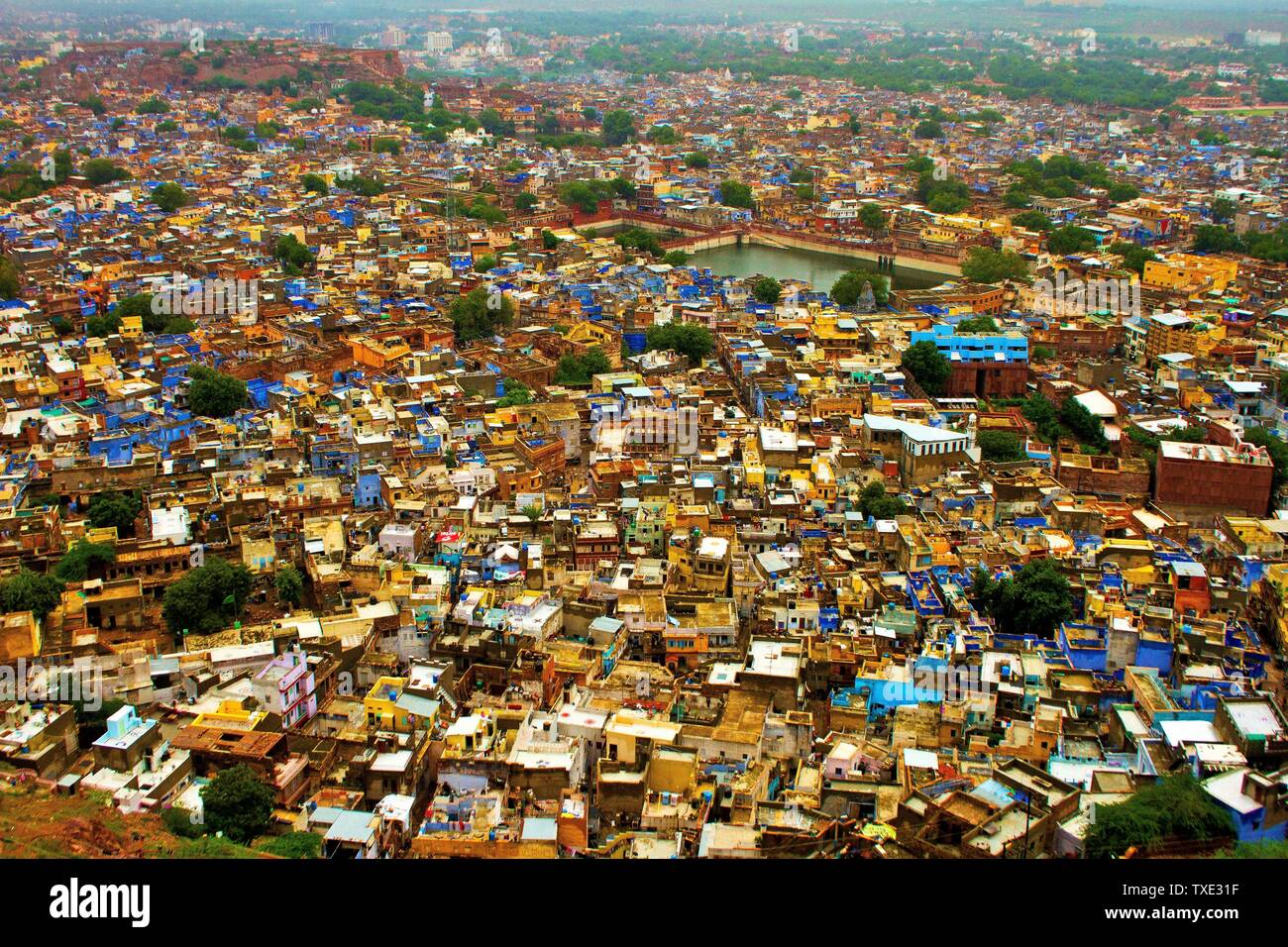 Vue aérienne de la ville bleue, Jodhpur, Rajasthan, Inde, Asie Banque D'Images