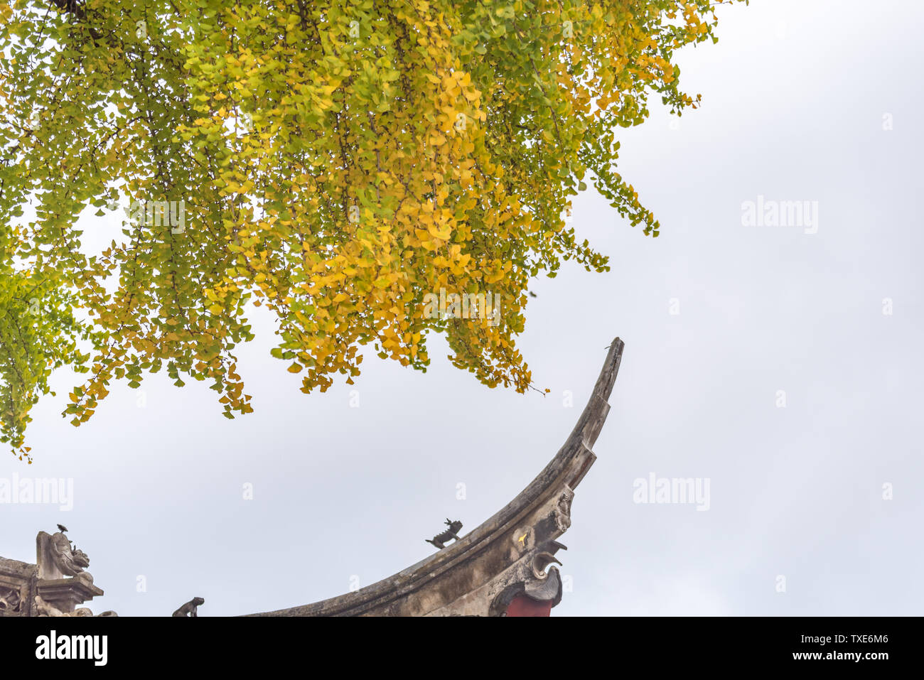 Les avant-toits et toits de Sea Breeze Spa Resort Hotel Temple Building à Suzhou Banque D'Images