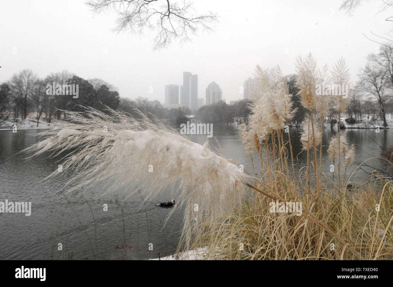 Midtown high rises sont enveloppées dans la neige derrière canards natation sur Piedmont Park's Lake Clara Mear lors d'une tempête hivernale qui a causé la Géorgie Gov. Nathan s'occuper de déclarer l'état d'urgence à Atlanta le 28 janvier 2014. UPI/David Tulis Banque D'Images