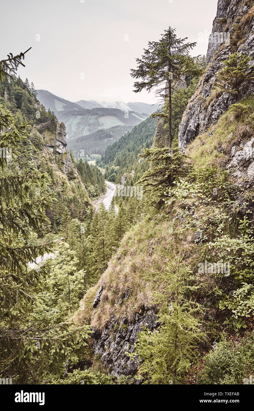 Retro photo aux couleurs d'un paysage de montagnes Mala Fatra, en Slovaquie. Banque D'Images