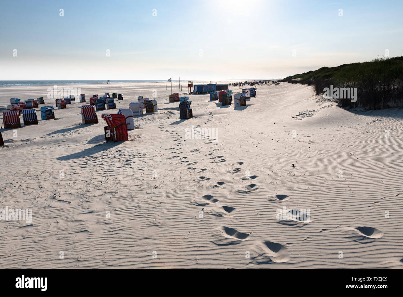 Traces dans le sable blanc dans la matinée sur l'île de Juist. Banque D'Images