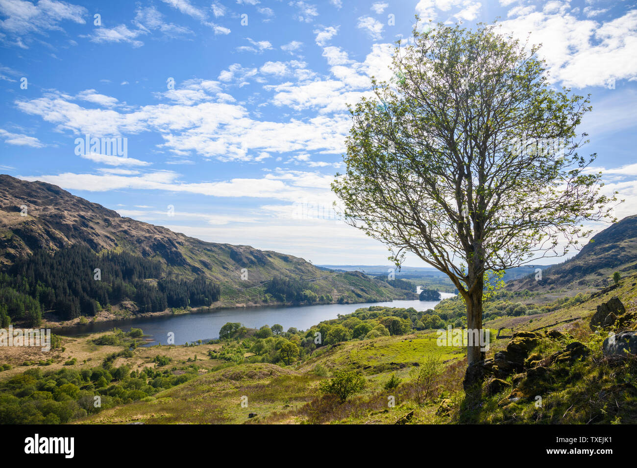 Loch Trool, Glen Trool, Dumfries et Galloway, Écosse Banque D'Images