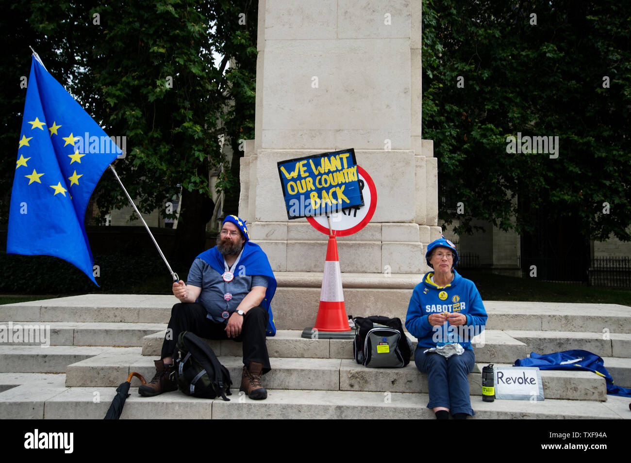 Westminster, Londres. Le parlement. Restent deux protestataires avec drapeau européen et un écriteau disant 'Nous voulons que notre pays'. Banque D'Images