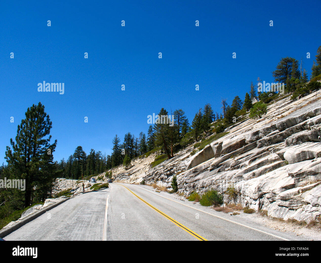 Yosemite National Park, Californie, Tioga Pass Banque D'Images