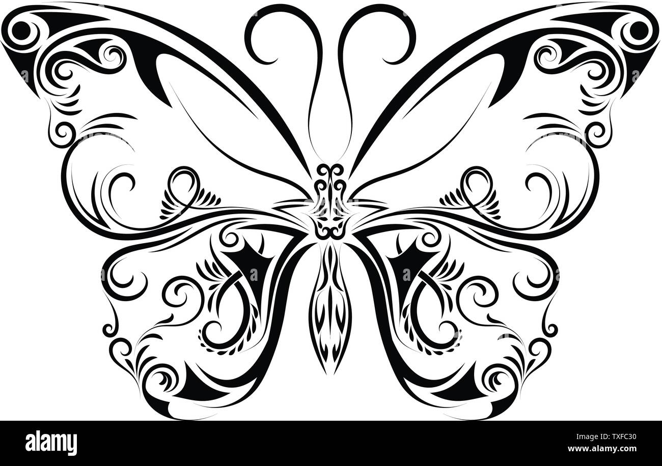 Beau papillon noir et blanc isolé sur blanc. Banque D'Images