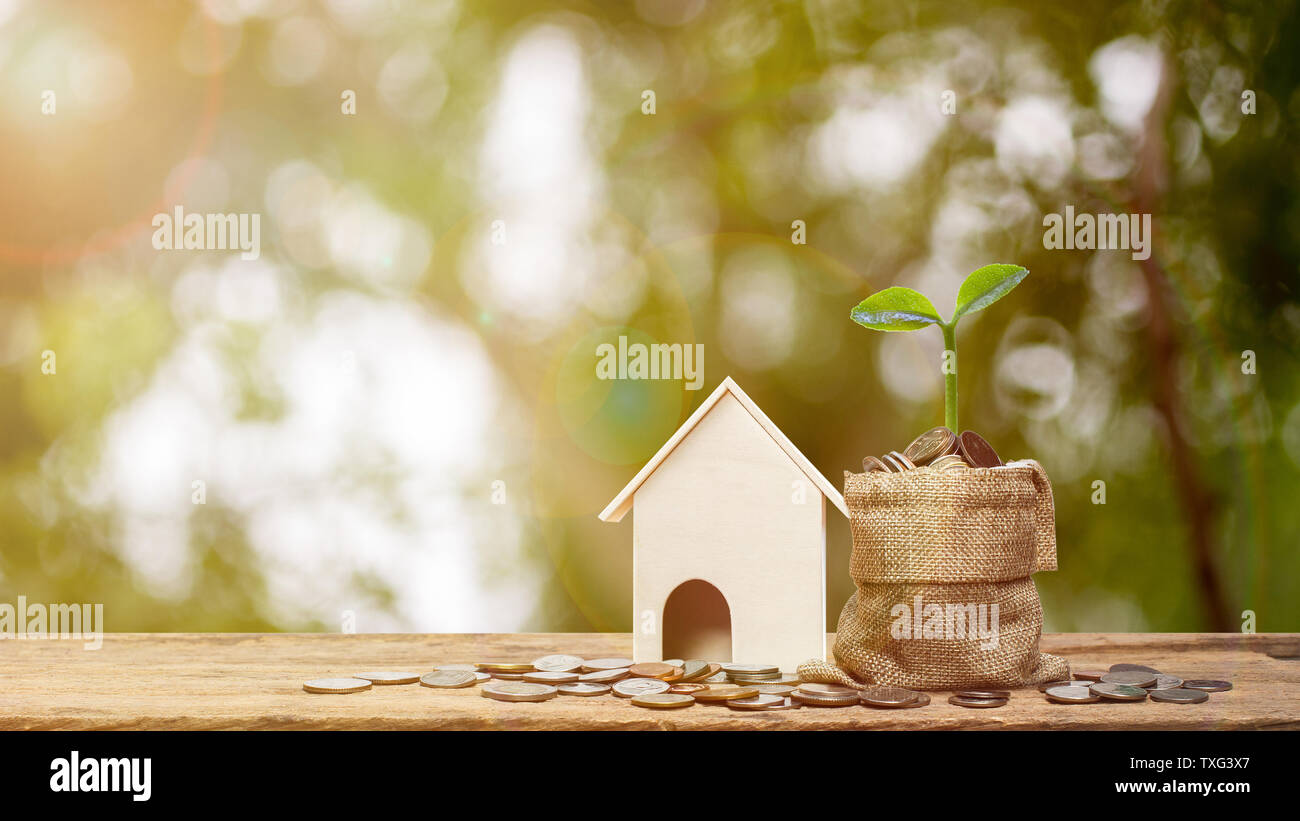 L'investissement de propriété ou d'économiser de l'argent pour de nouvelles home concept. La croissance végétale sur pile de pièces en argent sac avec une petite maison modèle sur table en bois. Représenter Banque D'Images