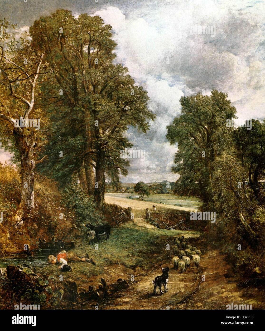 L'anglais John Constable Le cornifield 1826 école Huile sur toile (143 x 122 cm Galerie nationale, Londres) Banque D'Images
