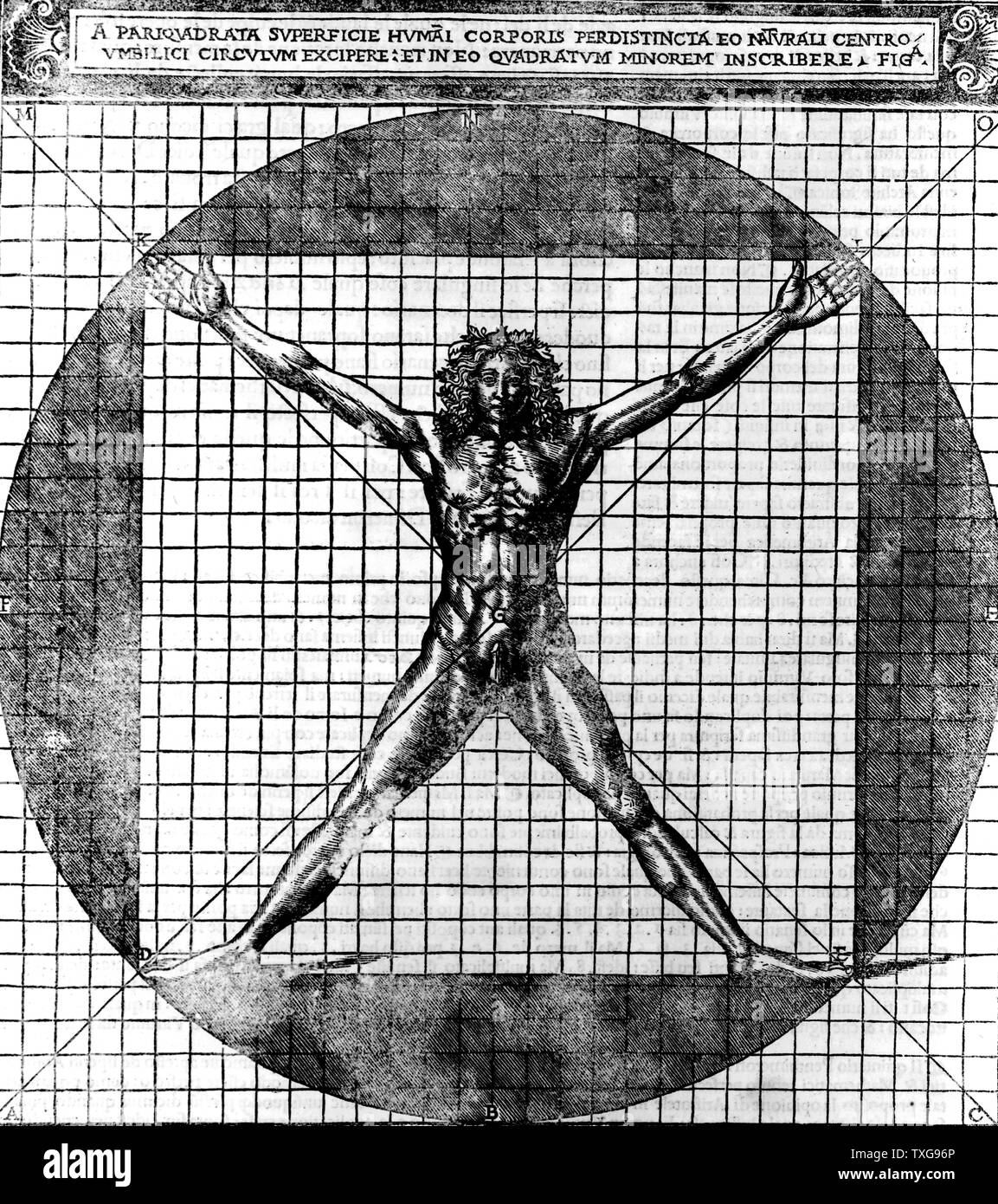 Proportions du corps humain après des études de Léonard de Vinci, également nommé "homme de Vitruve". Les droits de l'homme corps aux membres inférieurs étendus, superposée sur une grille et un cercle gravure par Cesarino Banque D'Images