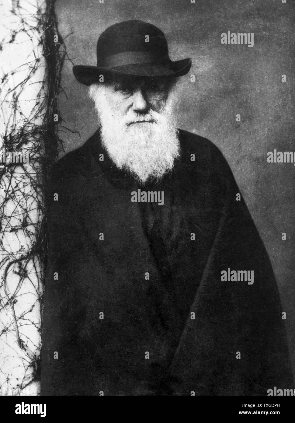 Portrait photographique de Charles Darwin (1809-1882) naturaliste et géologue anglais. Photographié par Julia Margaret Cameron (1815-1879) Photographe britannique. Datée 1870 Banque D'Images