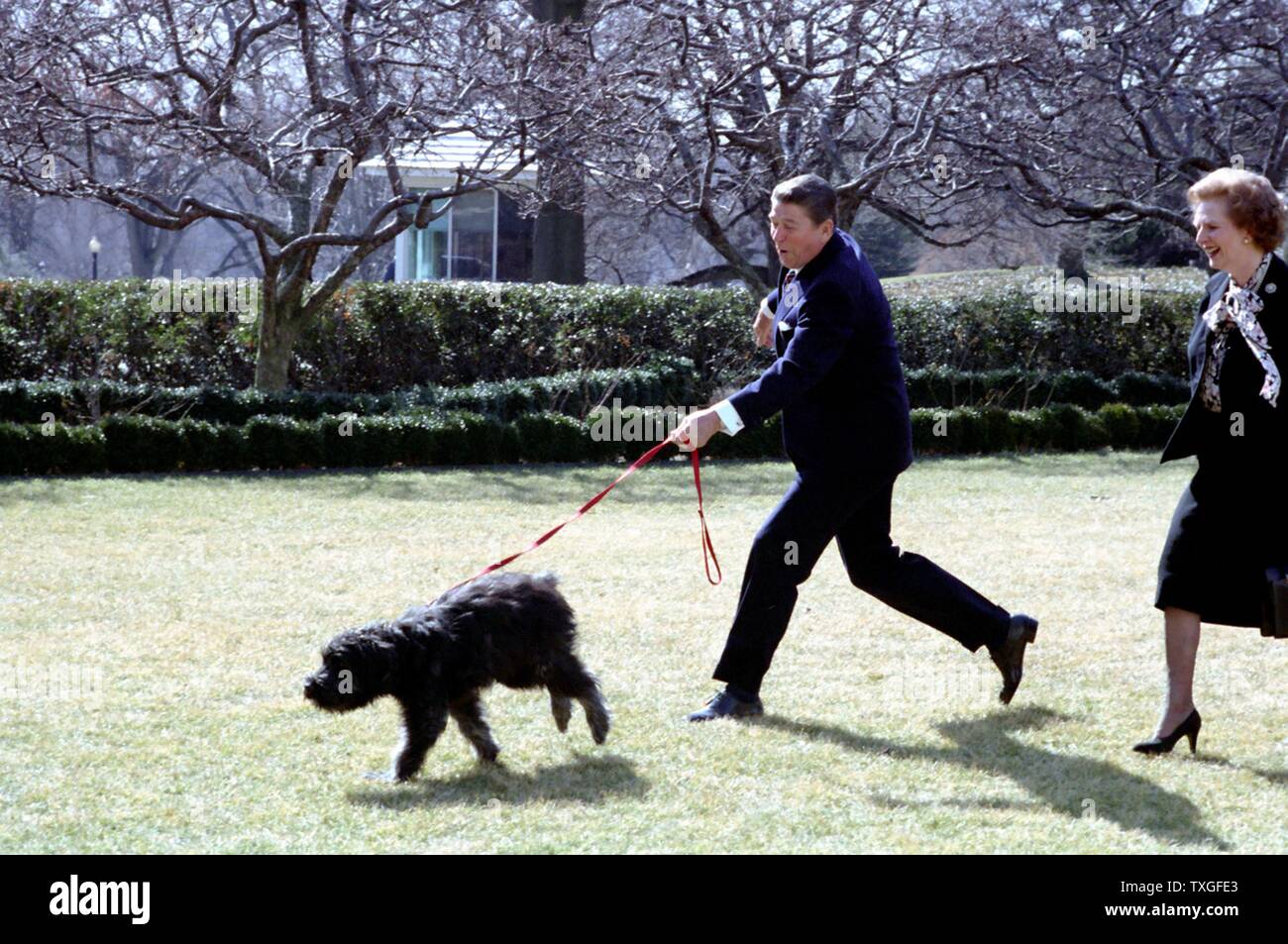 Du président américain Ronald Reagan avec le Premier ministre britannique Margaret Thatcher, dans la roseraie, Maison Blanche, Washington DC 1988 Banque D'Images