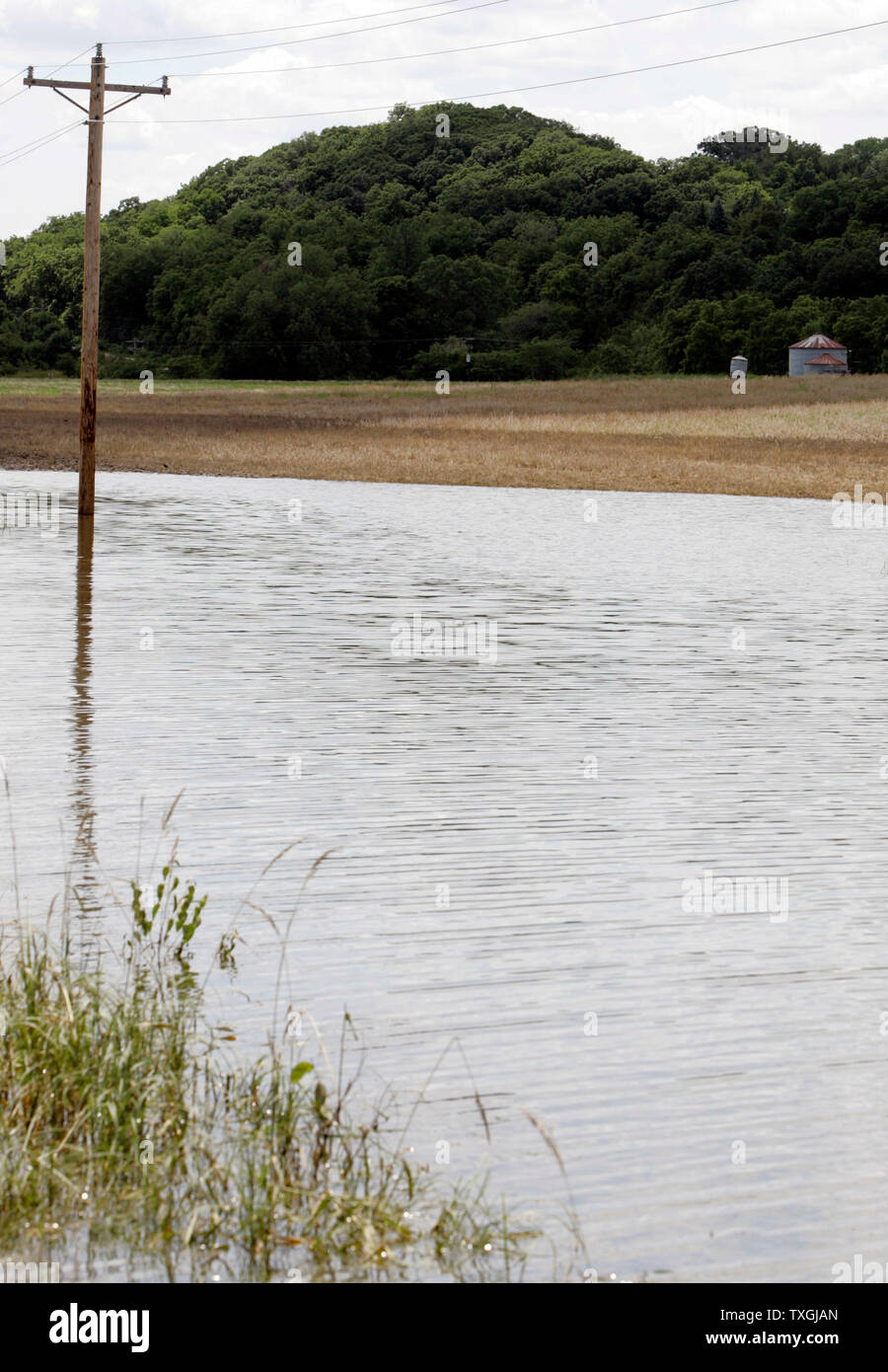 Les champs agricoles dans les zones de basse altitude autour de Buffalo, Iowa, commencent à peine à émerger de la crue des eaux le 23 juin 2008. Crue de la décrue du fleuve Mississippi ont quitté la récolte massive de la destruction dans l'Illinois, du Missouri et de l'Iowa.fonctionnaires s'attendre au moins 3 milliards de dollars de dégâts et une perte de 15  % des cultures de maïs et de soja dans l'Iowa. (UPI Photo/Mark Cowan) Banque D'Images