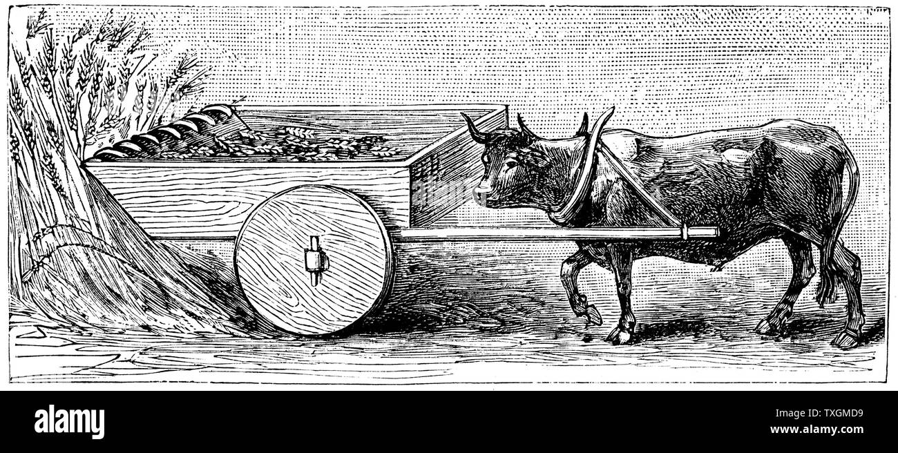 Reconstruction de moissonneuse utilisée en Gaule dans l'antiquité romaine, comme décrit par Pline Gravure c.1890 Banque D'Images