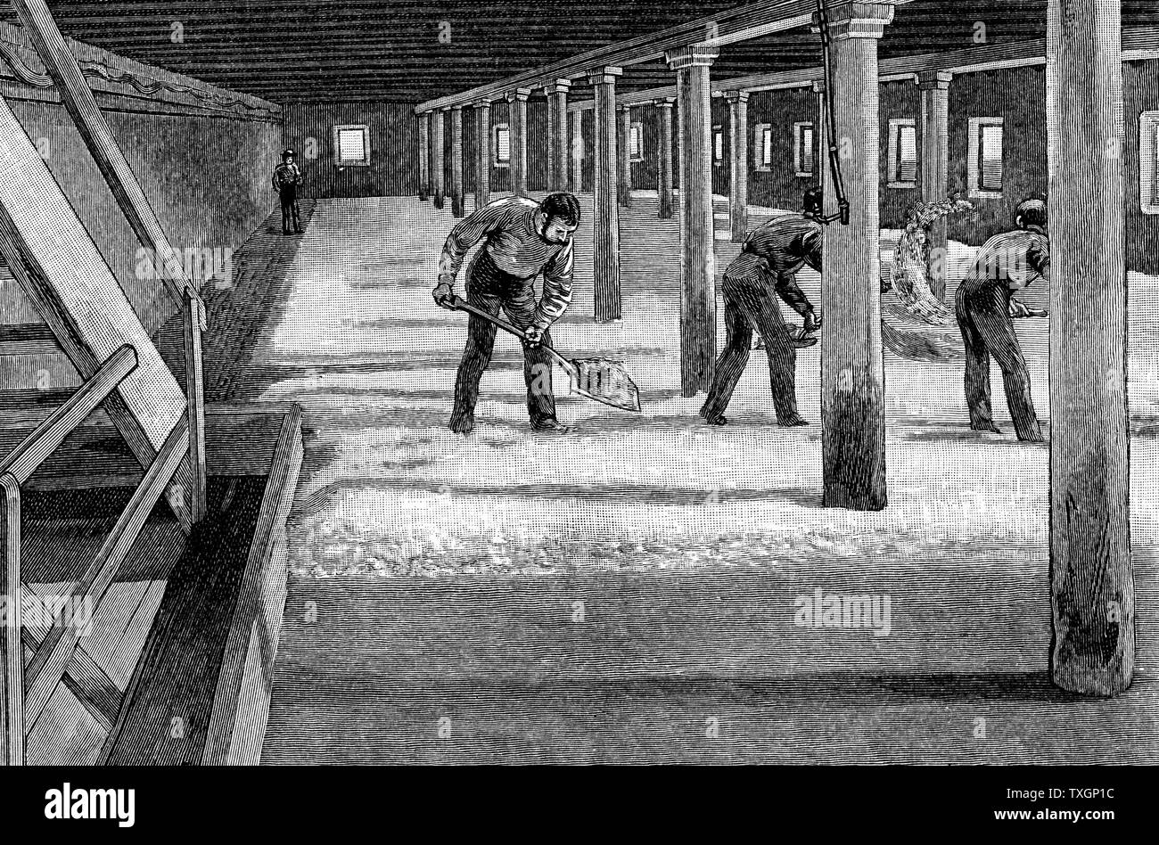 Dans un sol brassicole brasserie américaine. La gravure sur bois 1885 Banque D'Images
