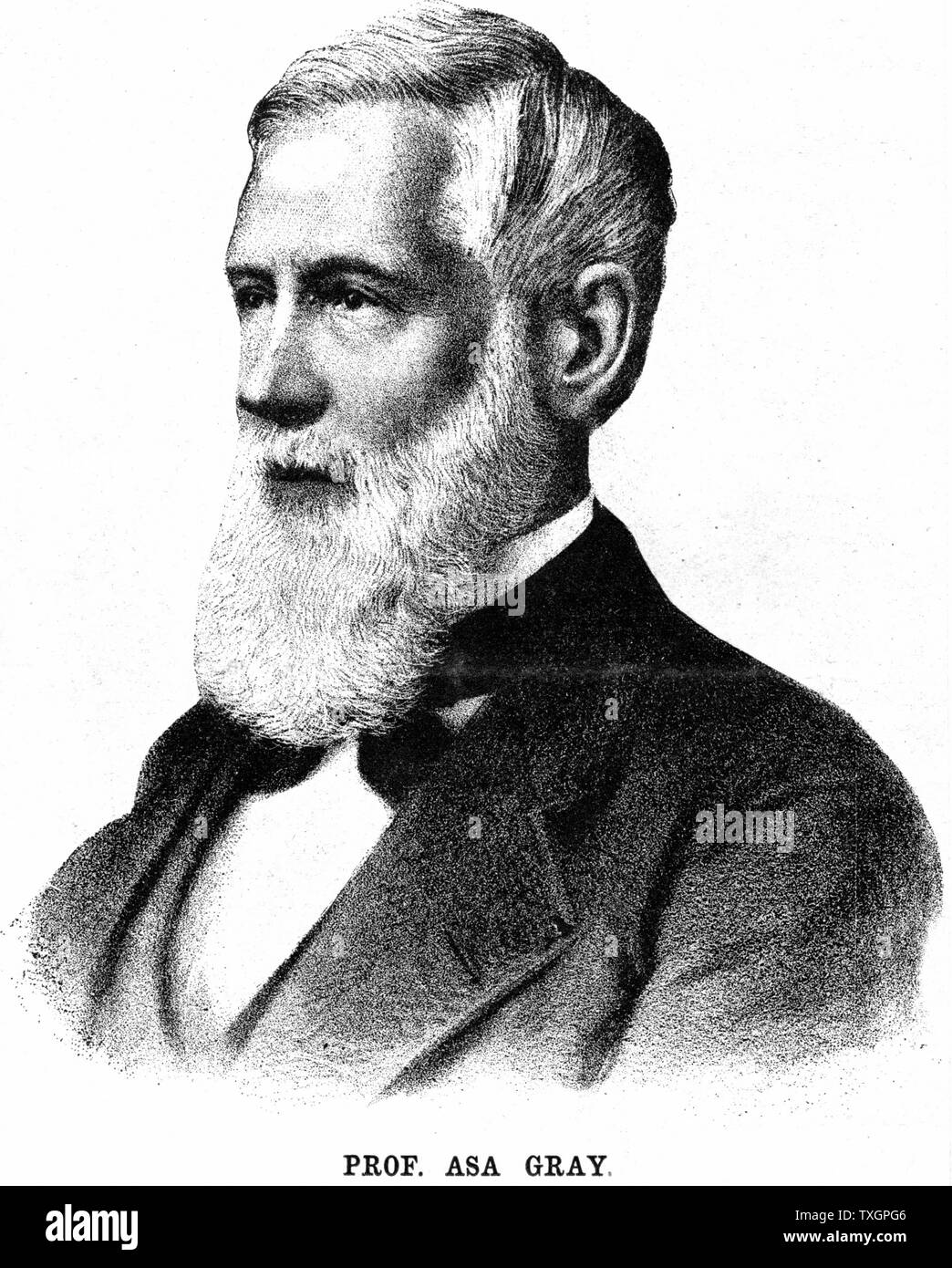Asa Gray (1810-1888), botaniste américain. Spécialiste de la flore japonaise. Ami de Darwin. Accepté La sélection naturelle comme la force dans l'évolution, mais, en tant que fervent Protestant, ne pouvait pas accepter ce n'est que cause. Lithographie 1888 Banque D'Images