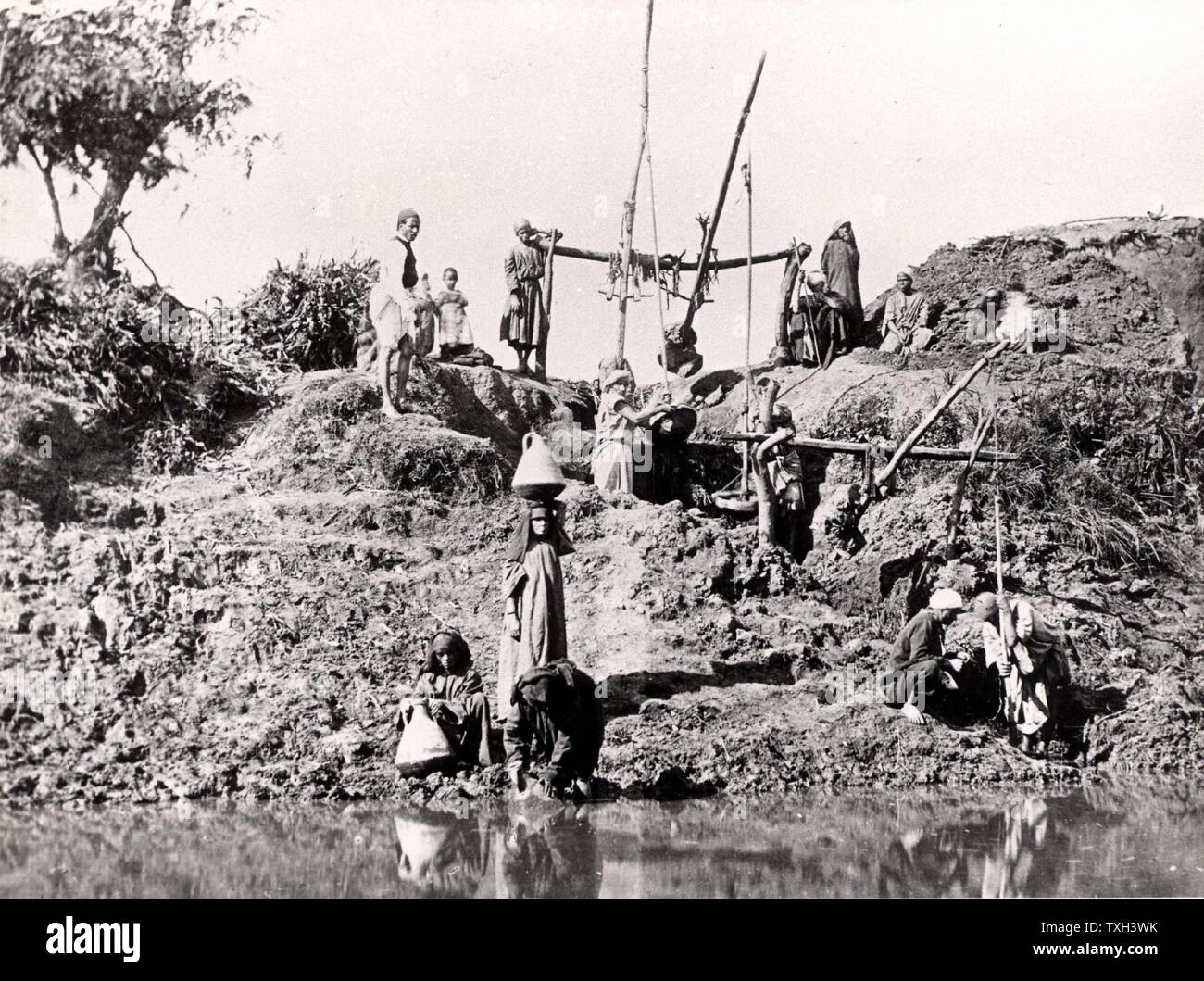 Un shadoof shaduf ou utilisé pour élever l'eau, l'Égypte, fin des années 1880. Le shaduf a été utilisé pour l'irrigation depuis au moins aussi tôt que 1500 av. Photographie. Banque D'Images