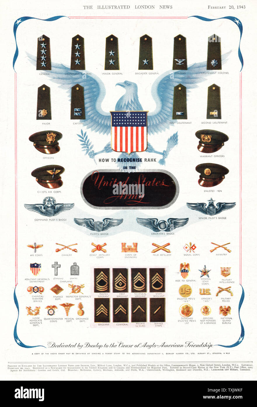 1943 Illustrated London News Insignes et grades de l'Armée américaine ...