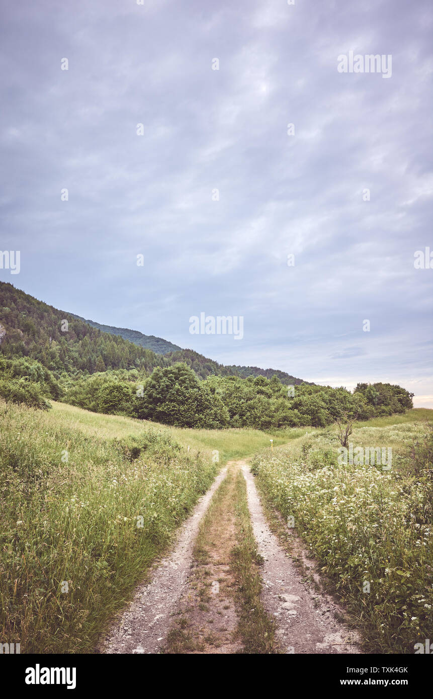 Chemin dans le Parc National de Mala Fatra sur un jour nuageux, harmonisation des couleurs appliquées, la Slovaquie. Banque D'Images