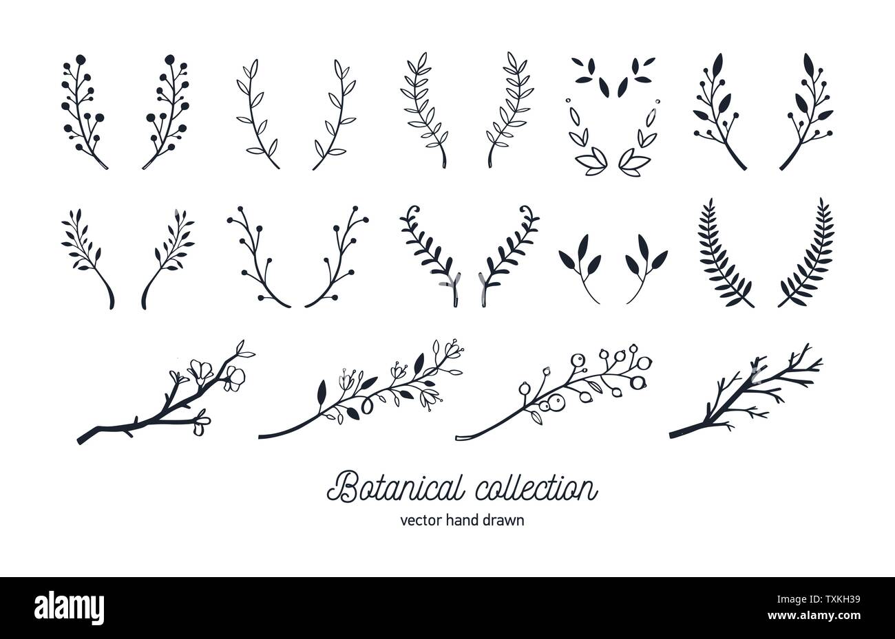 Vector hand drawn vintage éléments floraux. Forêt de Fleurs et brunchs doodle pour mariage, anniversaire Illustration de Vecteur