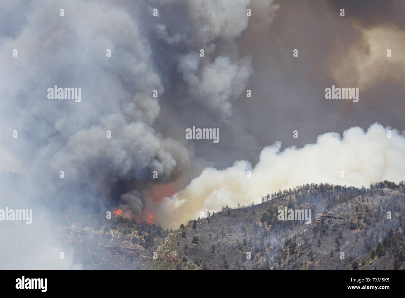 Le Waldo Canyon feu brûle à l'extérieur de Colorado Springs, Colorado Le 26 juin 2012. Des changements dans les vents ont poussé le feu dans les quartiers des contreforts à l'Ouest de Colorado Springs, détruisant de nombreuses maisons. La cause de l'incendie est inconnue. UPI/Trevor Brown Jr. Banque D'Images