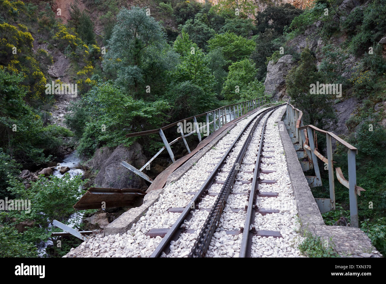 Pont de chemin de fer dans la gorge près de Hotel Waldblick, Grèce Banque D'Images