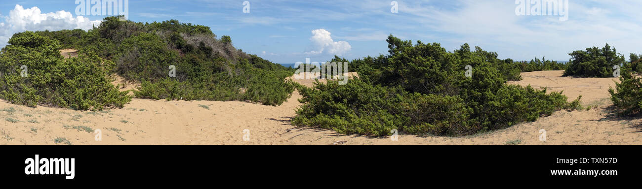 Plage d'Issos avec de grandes dunes de sable sur l'île de Corfou Banque D'Images