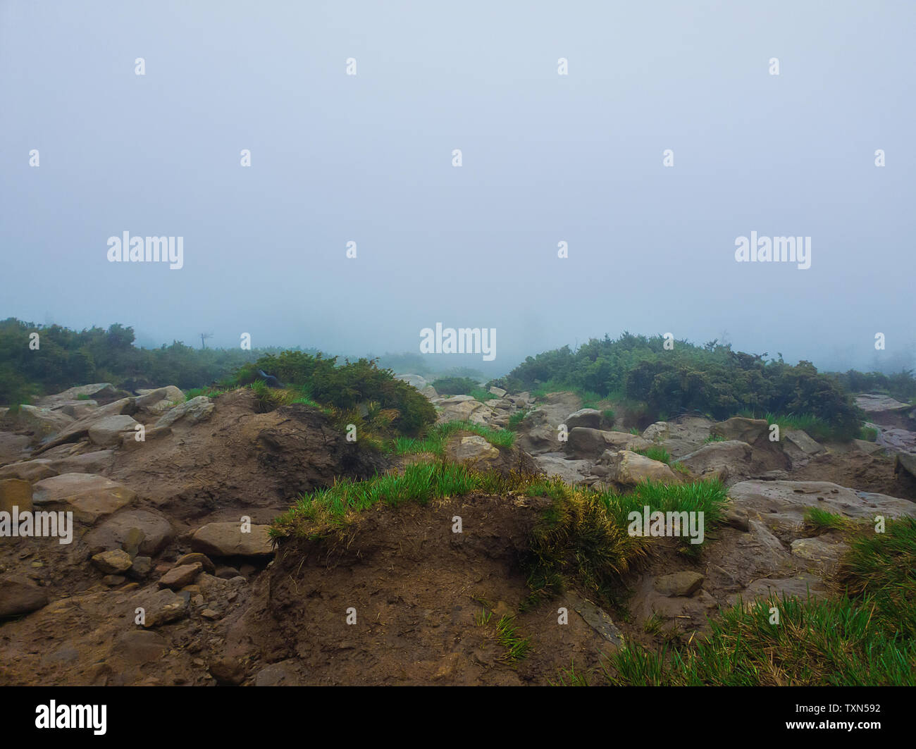 Terrain montagne boueux comme un mélange d'argile et de plantes typiques des roches pour la saison du printemps sur les collines des Carpates. Gloomy foggy landscape with low vis Banque D'Images