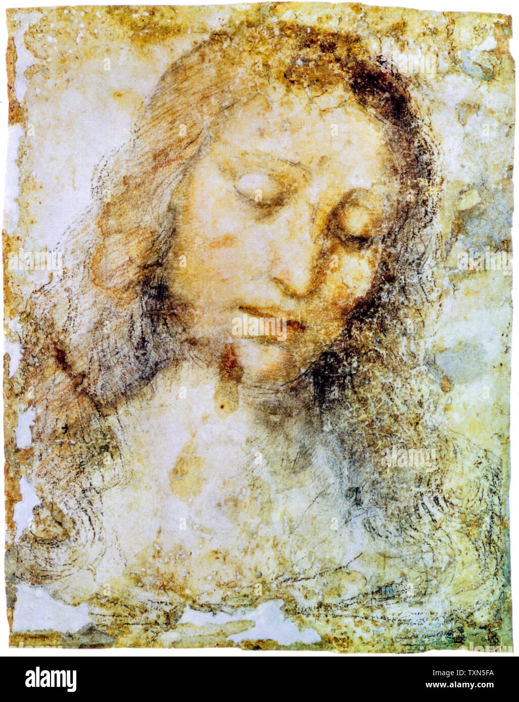 Leonardo Da Vinci, chef de Christ, dessin, vers 1494 Banque D'Images