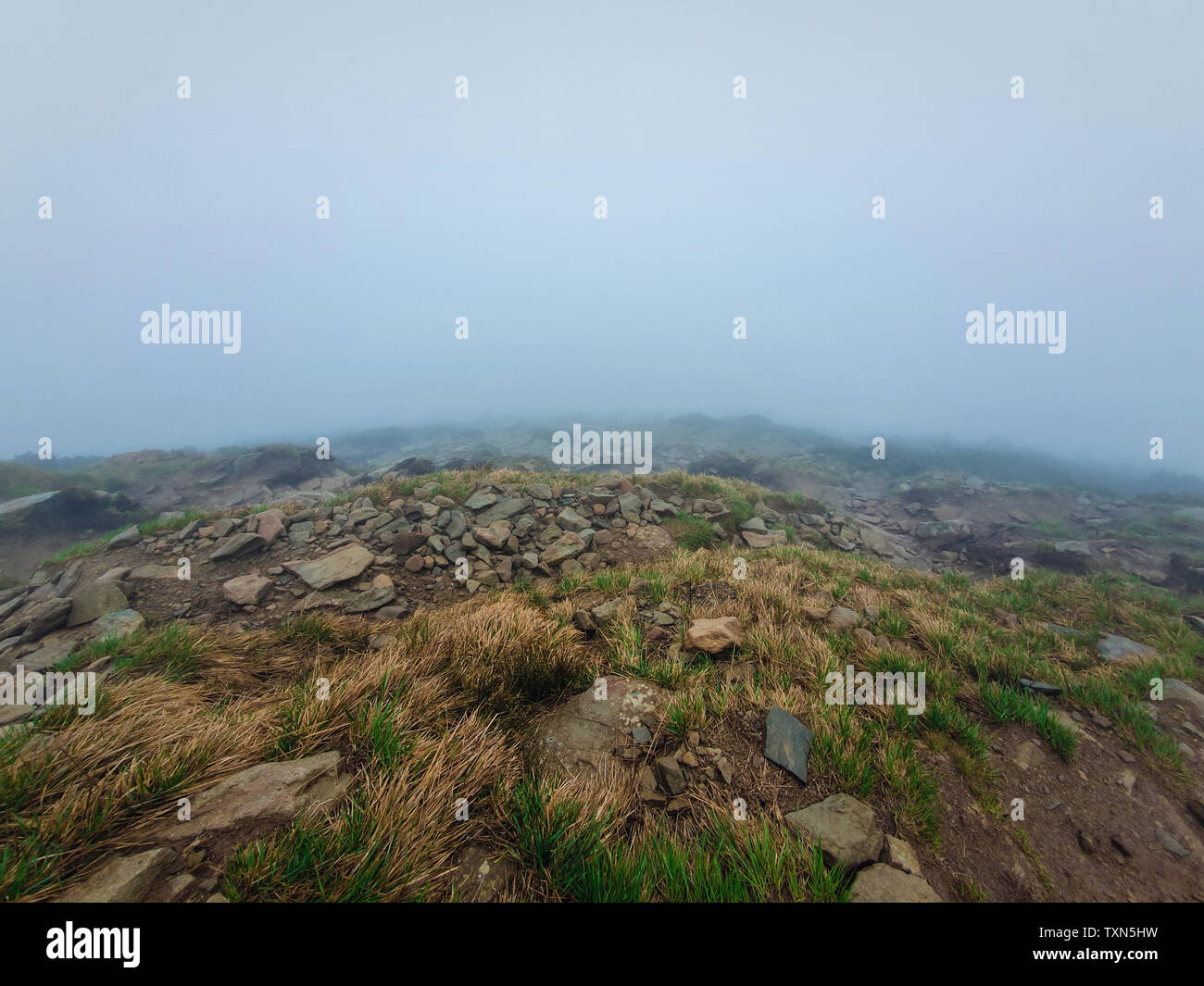 Terrain montagne boueux comme un mélange d'argile et de plantes typiques des roches pour la saison du printemps sur les collines des Carpates. Gloomy foggy landscape with low vis Banque D'Images