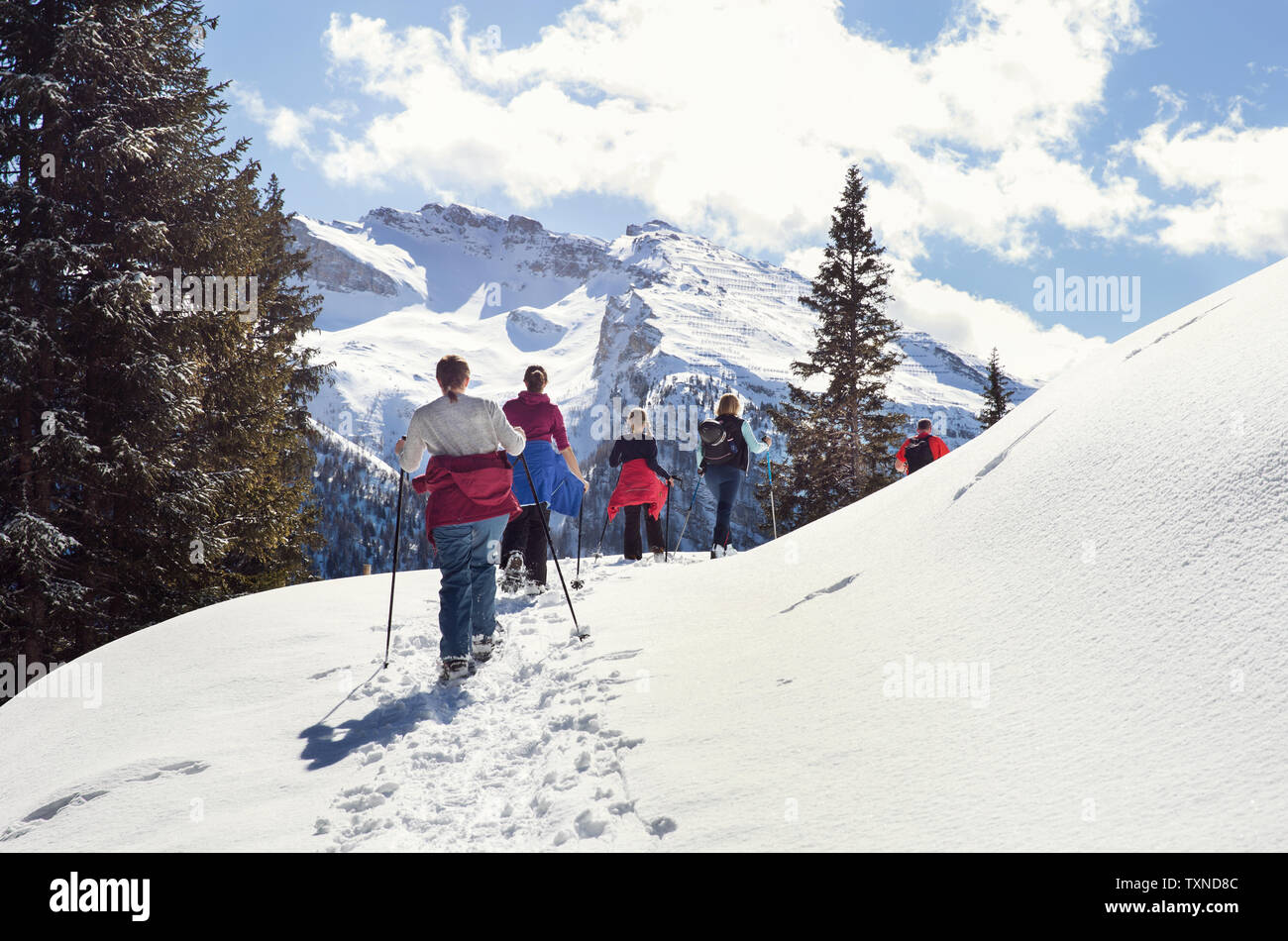 D'âge mûr et des filles de la raquette dans la neige paysage de montagne, vue arrière, Styrie, Tyrol, Autriche Banque D'Images
