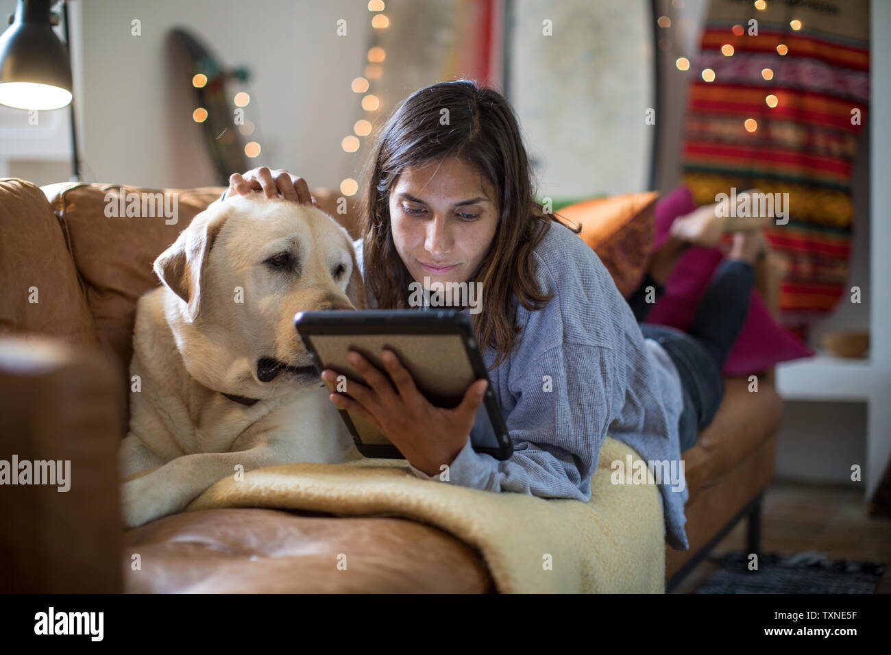 Labrador Retriever et young woman lying on sofa du salon looking at digital tablet Banque D'Images