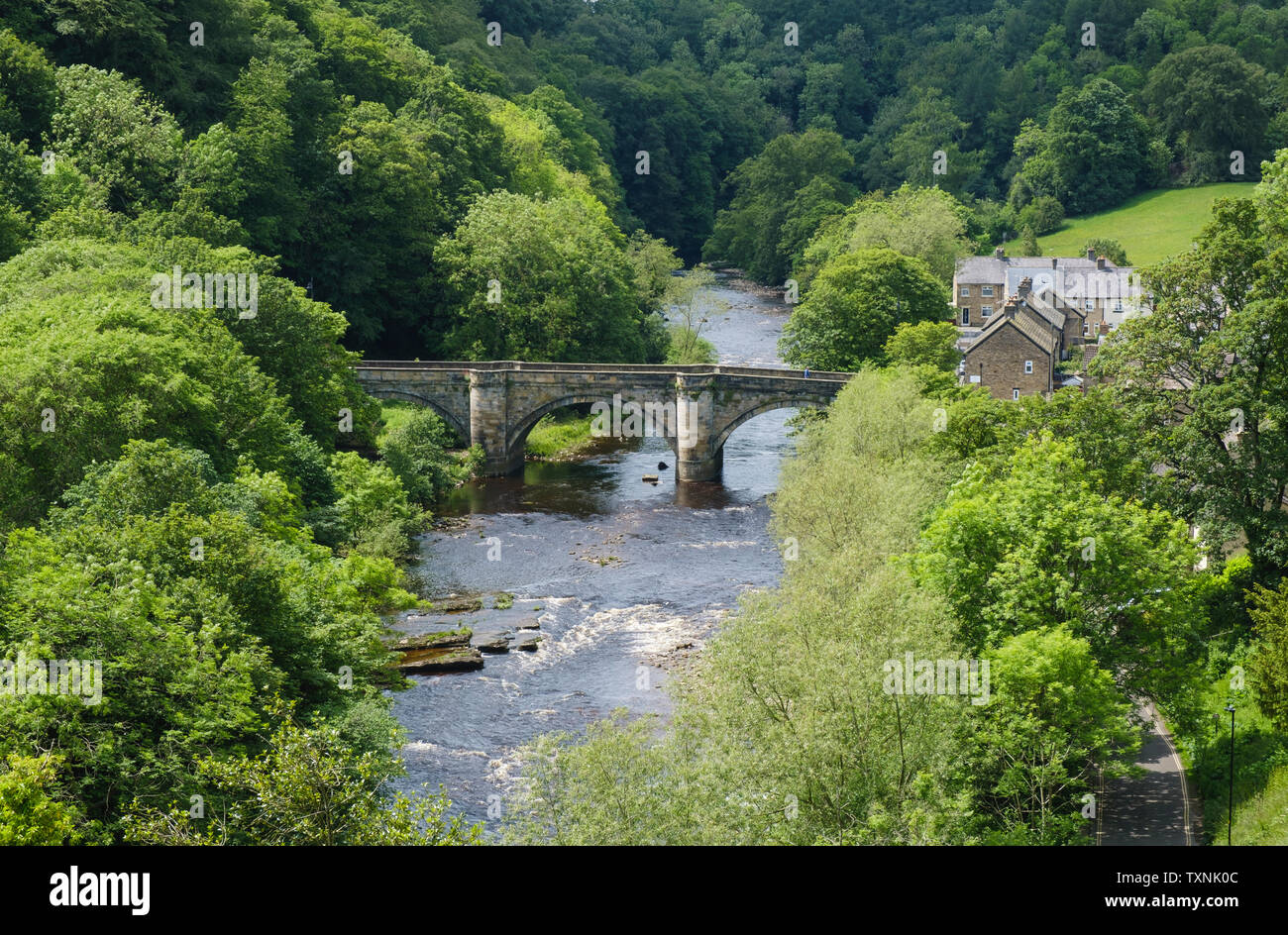 Le pont vert sur la rivière Swale au Richmond Swaledale North Yorkshire Banque D'Images